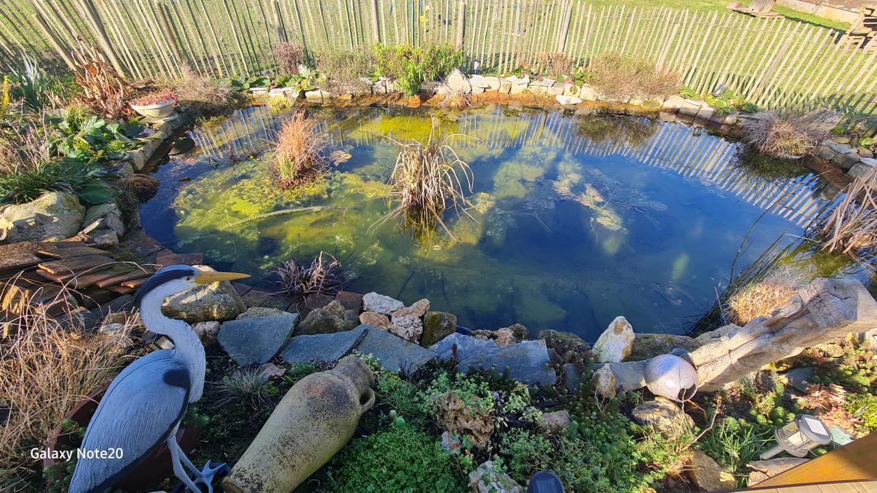 Une Mère Veille au Jardin — Jardins écologiques