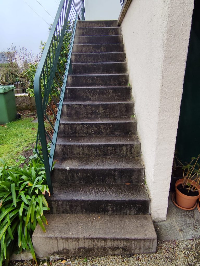 Remise en état escalier - Avant