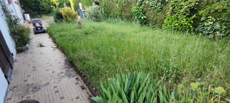 Remise en état du jardin - Avant