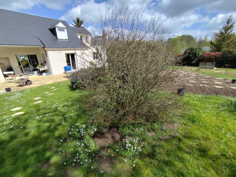 Réalisation d&rsquo;un paillage en copeaux - Avant